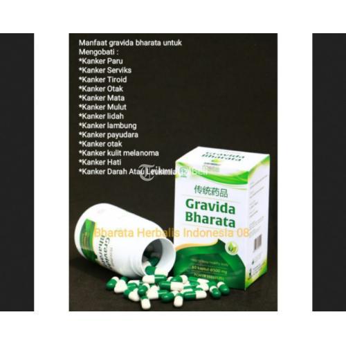 Obat Kanker Dan Tumor Paling Ampuh Resmi BPOM-Gravida Bharata jmggroup.store