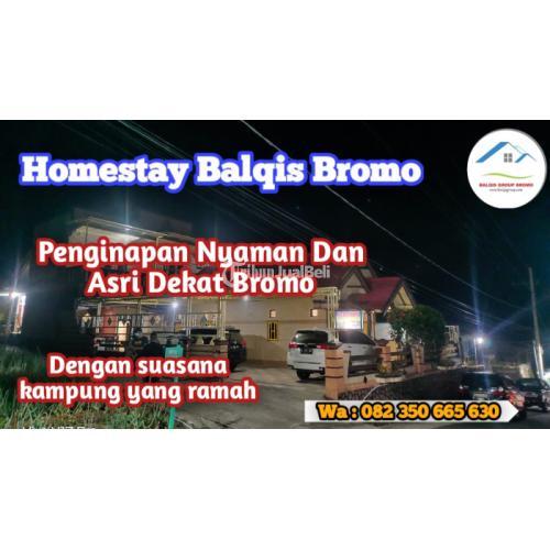 Homestay / Penginapan Balqis Gunung Bromo Lokasi Dan View bagus