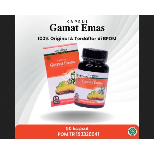 Kapsul Gamat Emas Asli Obat Asam Lambung Ginjal Maag Hernia jmggroup.store