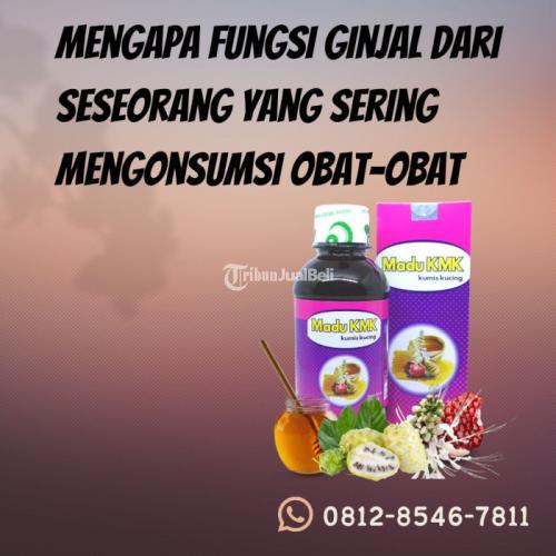 Mengapa Fungsi Ginjal Dari Seseorang Yang Sering Mengonsumsi Obat-Obat Madu KMK (0812-8546-7811)