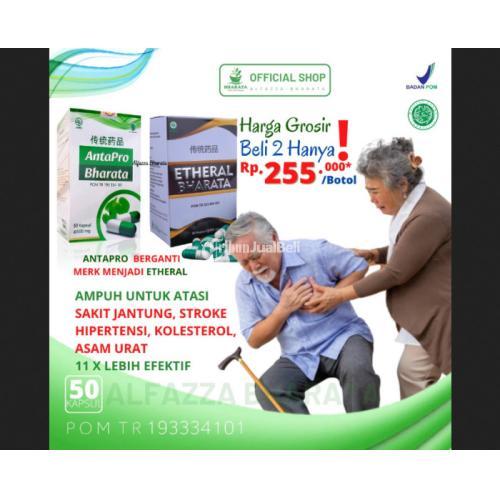 Obat Stroke Antapro Etheral Bharata Ampuh Garansi Asli Terdaftar POM - Jakarta Pusat
