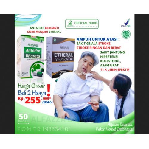 Obat Stroke Antapro Etheral Bharata Ampuh Garansi Asli Terdaftar POM - Jakarta Pusat