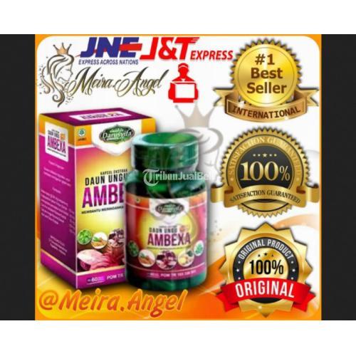 Ambexa Kapsul Ekstrak Daun Ungu Darusyifa Obat Atasi Wasir & Ambeien Ijin POM - Jakarta Pusat