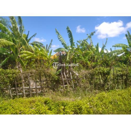 Tanah di Petitenget LT 240 m2 (12 x 20 ) dkt Seminyak, Kuta Badung Bali