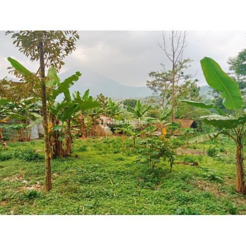 TANAH MURAH DI PENANGGUNGAN-TRAWAS DEKAT WISATA