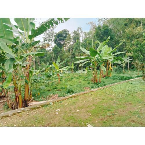 TANAH MURAH DI PENANGGUNGAN-TRAWAS DEKAT WISATA