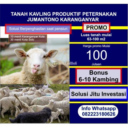 tanah solo tanah karanganyar kavling karanganyar tanah produktif solo tanah peternakan karanganyar