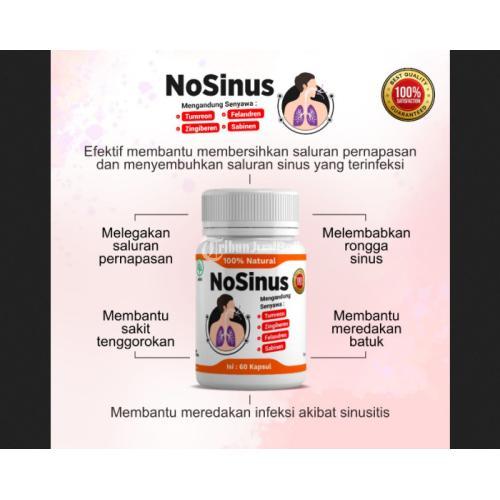 Obat Herbal Sinusitis Flu Polip Hidung NoSinus