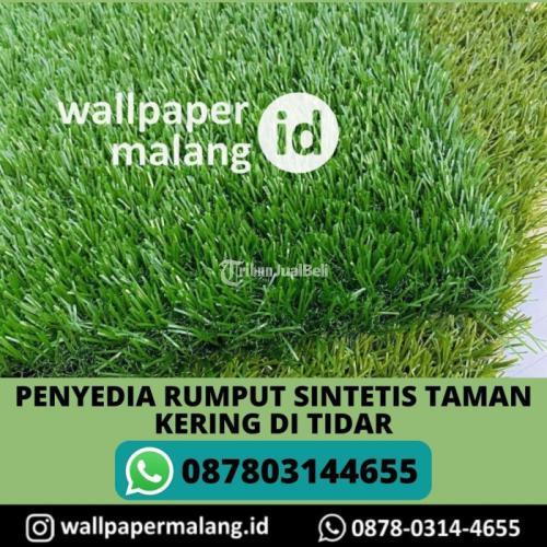 PENYEDIA RUMPUT SINTETIS TAMAN KERING DI TIDAR