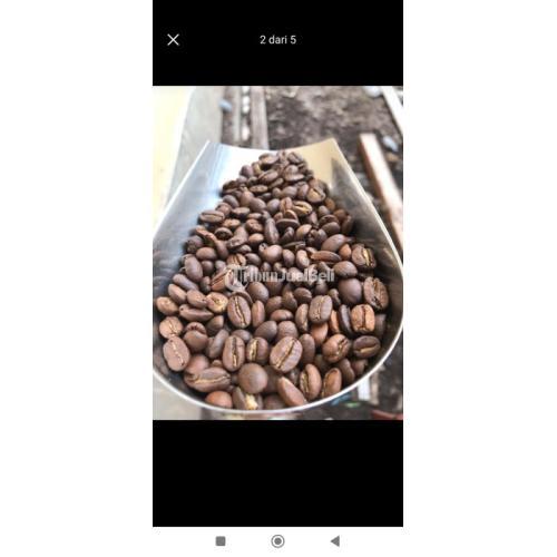 Kopi Toraja Arabika dan Robusta Premium Harga Murah - Makassar Sulawesi Selatan