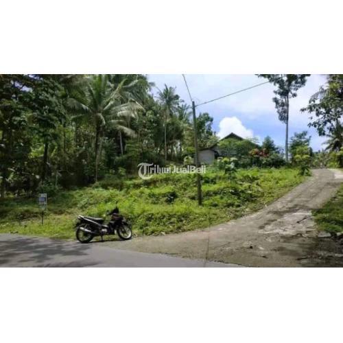 Tanah di pengasih Kulon Progo Jogja