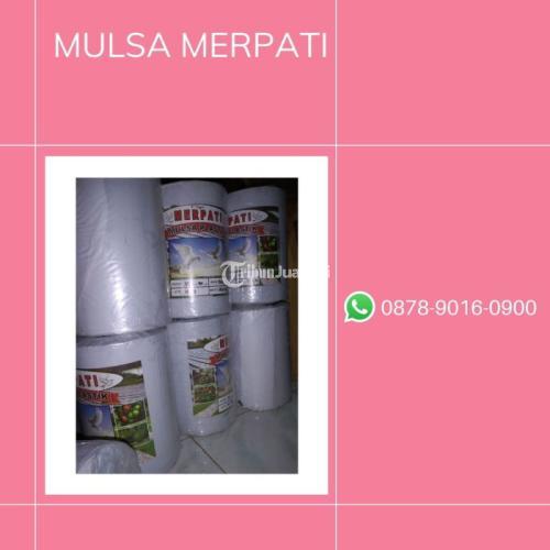 Kualitas Terjamin, WA+6287890160900, Produsen plastik sungkup bonsai Gresik