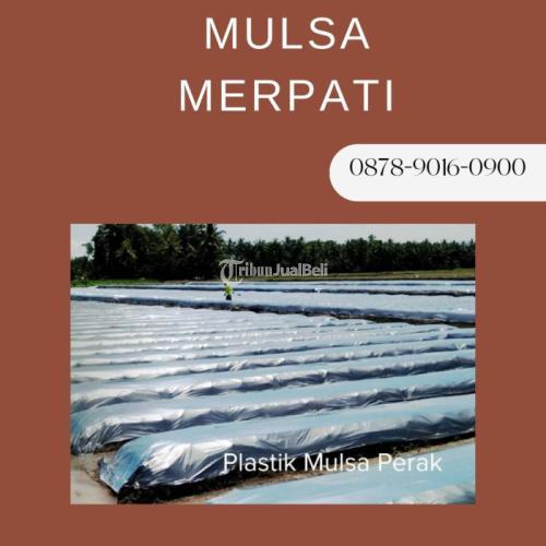Kualitas Terjamin, WA+6287890160900, Produsen plastik sungkup bonsai Gresik