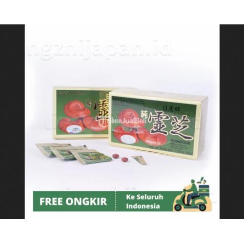 NISSAN REISHI MUSHROOM / JAMUR LING ZHI JEPANG ( OBAT KANKER )