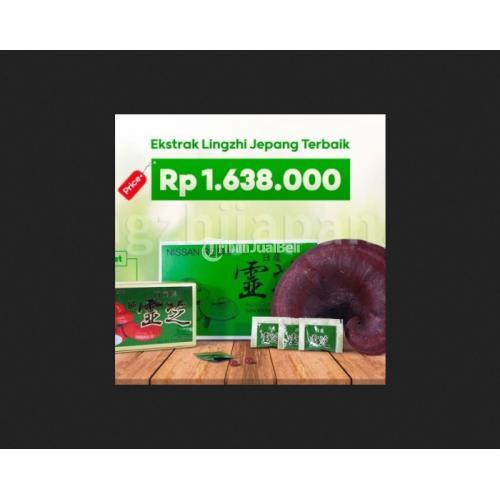 NISSAN REISHI MUSHROOM / JAMUR LING ZHI JEPANG ( OBAT KANKER )