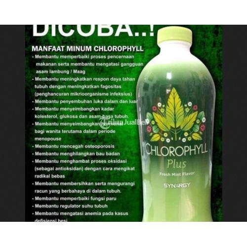 BEST SELLER! Obat Gejala Jantung Koroner Paling Dicari