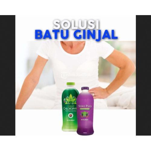 (Chlorophyll+NoniPlus) Obat Batu Ginjal Ampuh 100% Ampuh dan Aman