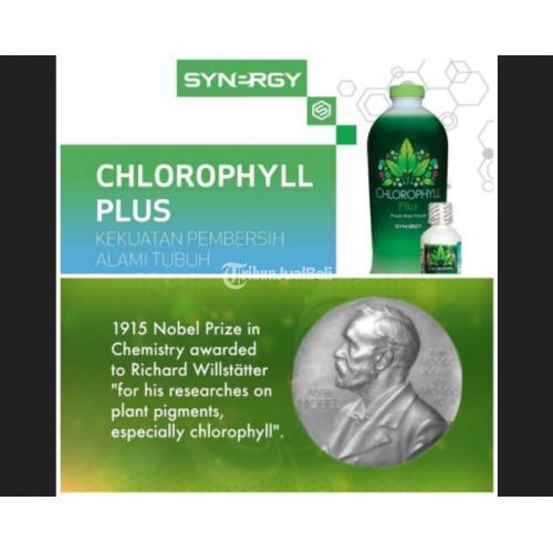 (Chlorophyll+NoniPlus) Obat Batu Ginjal Ampuh 100% Ampuh dan Aman