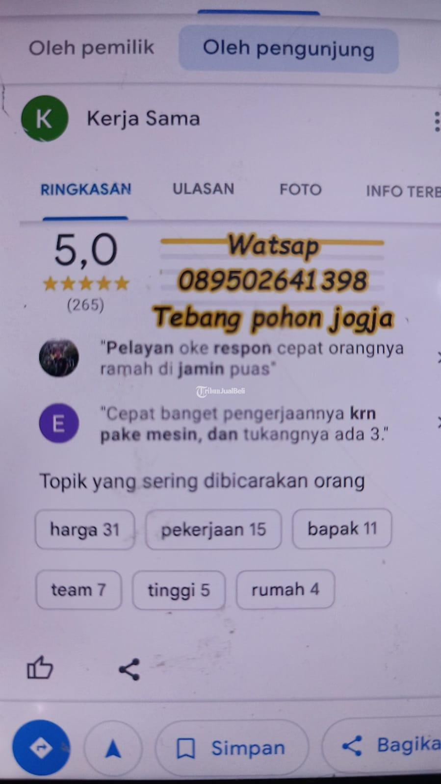tebang pohon dan jasa buang