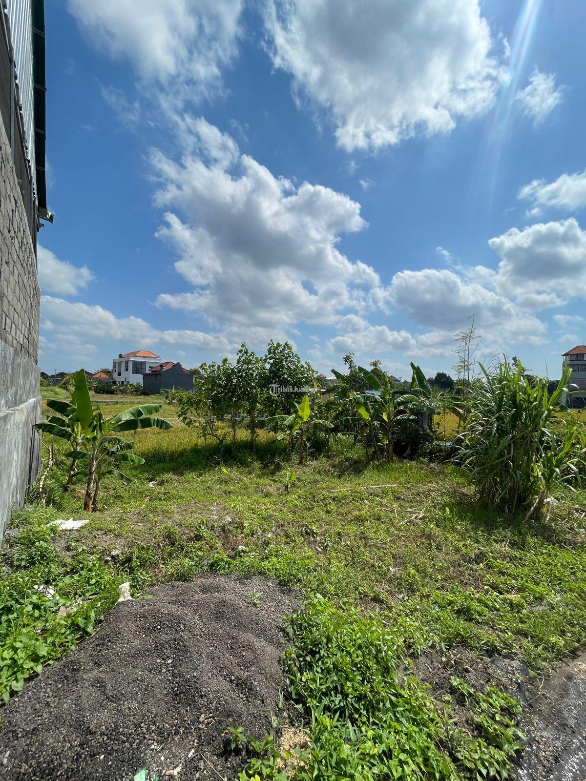 Dijual Tanah View Sawah LT150 Legalitas SHM Siap Bangun Harga ...