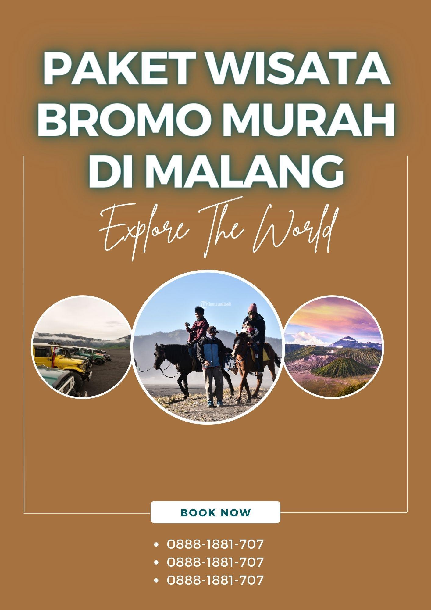 Paket Tour Bromo Avis dan Kota Lainnya - Malang Kota