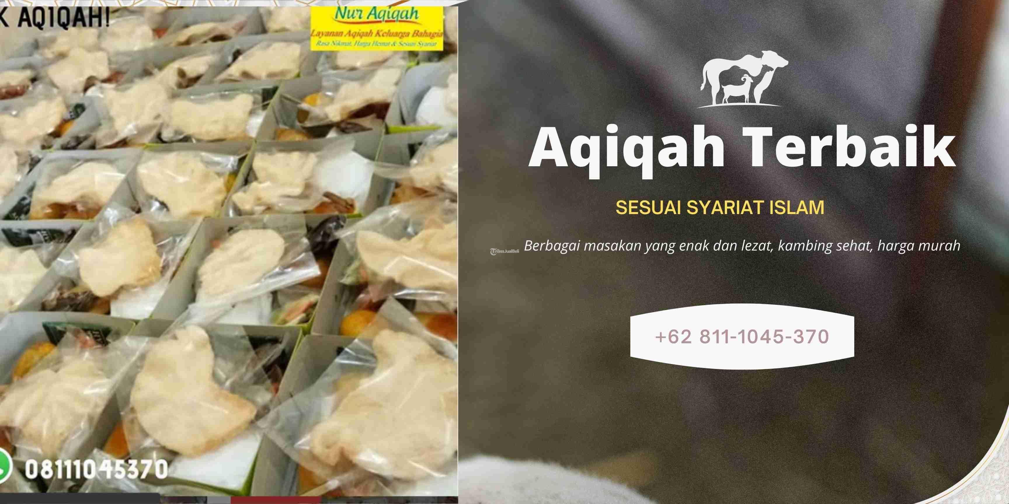 Kambing Untuk Aqiqah Harga Murah Sesuai Syariat Islam Di Jakarta Barat