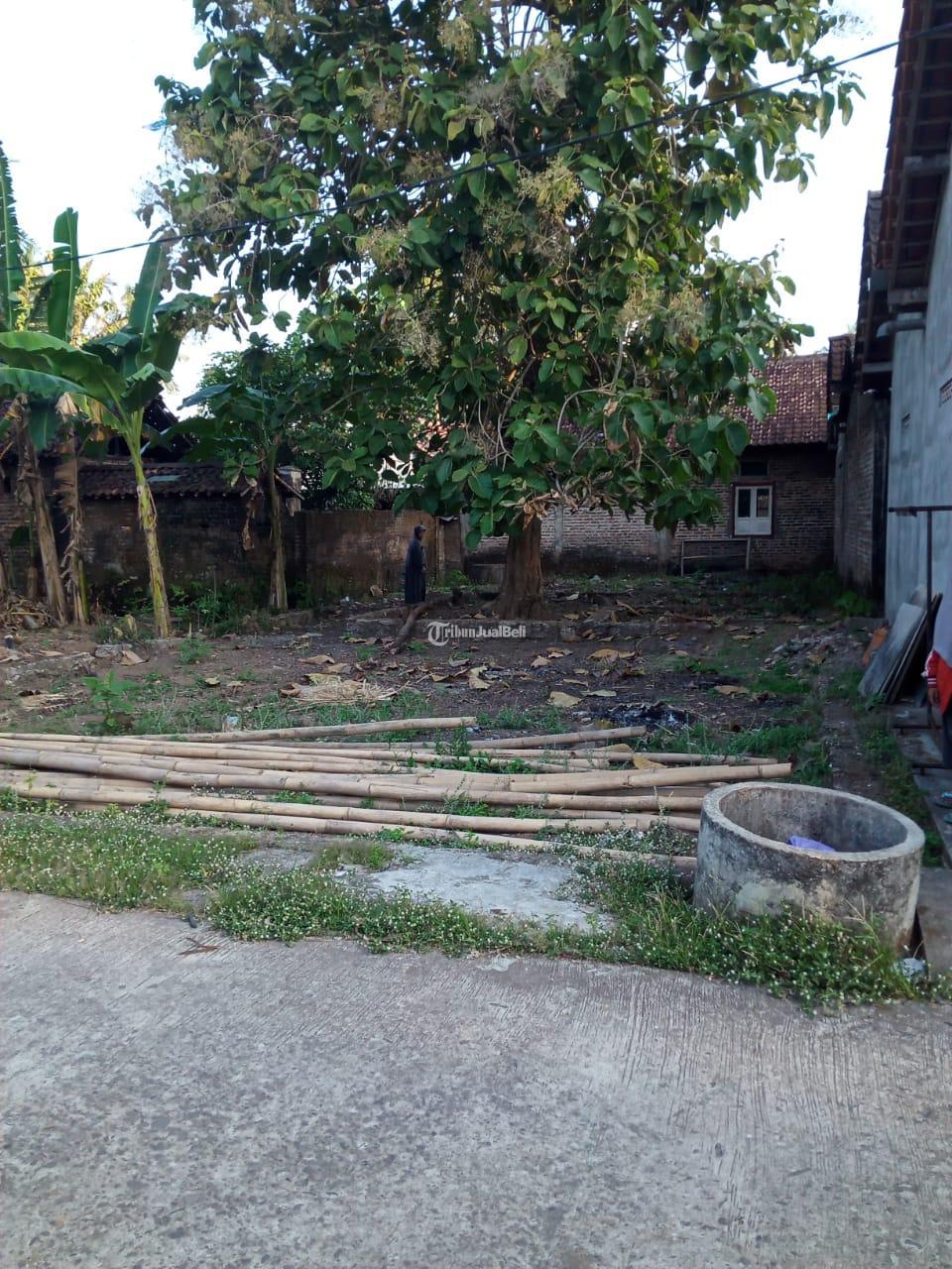 Tanah MURAH Dekat Pasar Mangiran Pandak Bantul