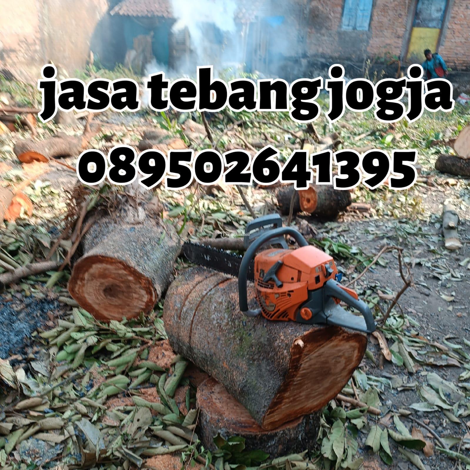 Jasa Tebang Pohon Panggilan Jogja Di Yogyakarta - Tribun JualBeli