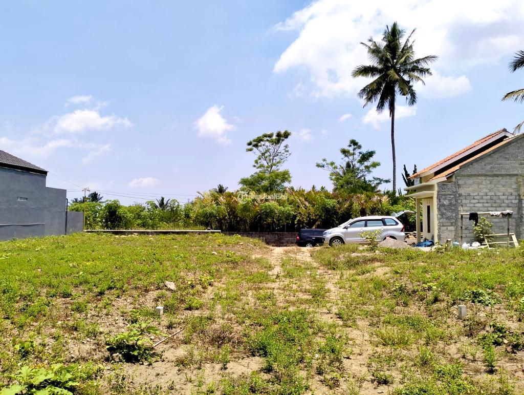 TANAH MURAH SLEMAN UTARA BELAKANG KANTOR KECAMATAN TURI