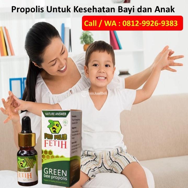 Propolis Untuk Mengobati Amandel Anak Kanigoro Fetih Brazil Call WA 081299269383