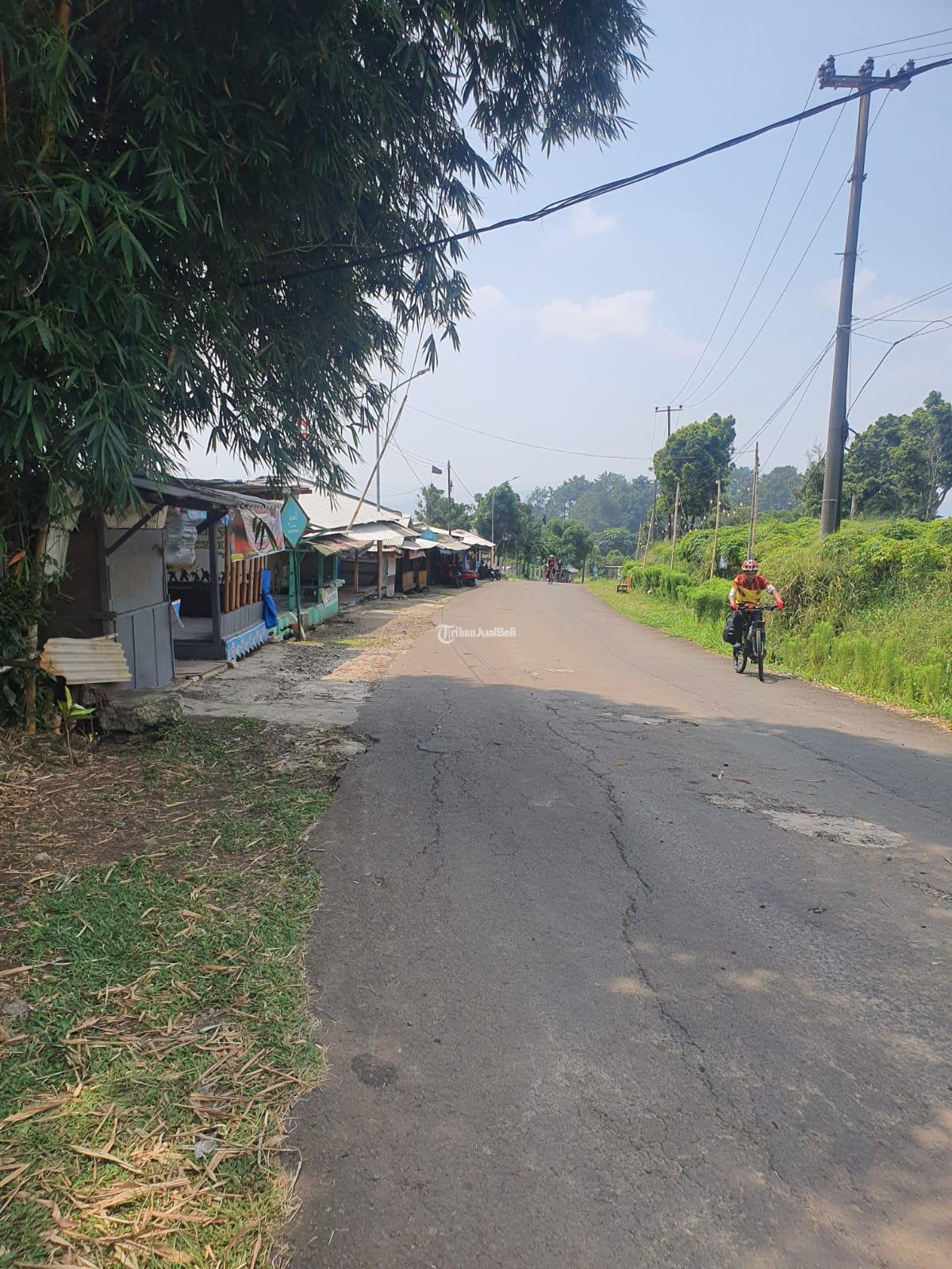 Tanah kebun Kp Cikalahang Hambalang Citeureup Kabupaten Bogor