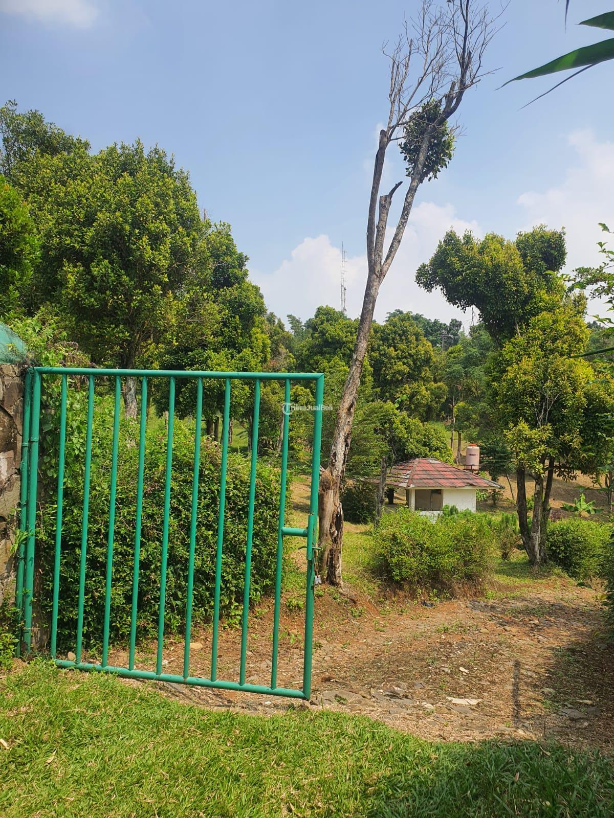 Tanah kebun Kp Cikalahang Hambalang Citeureup Kabupaten Bogor