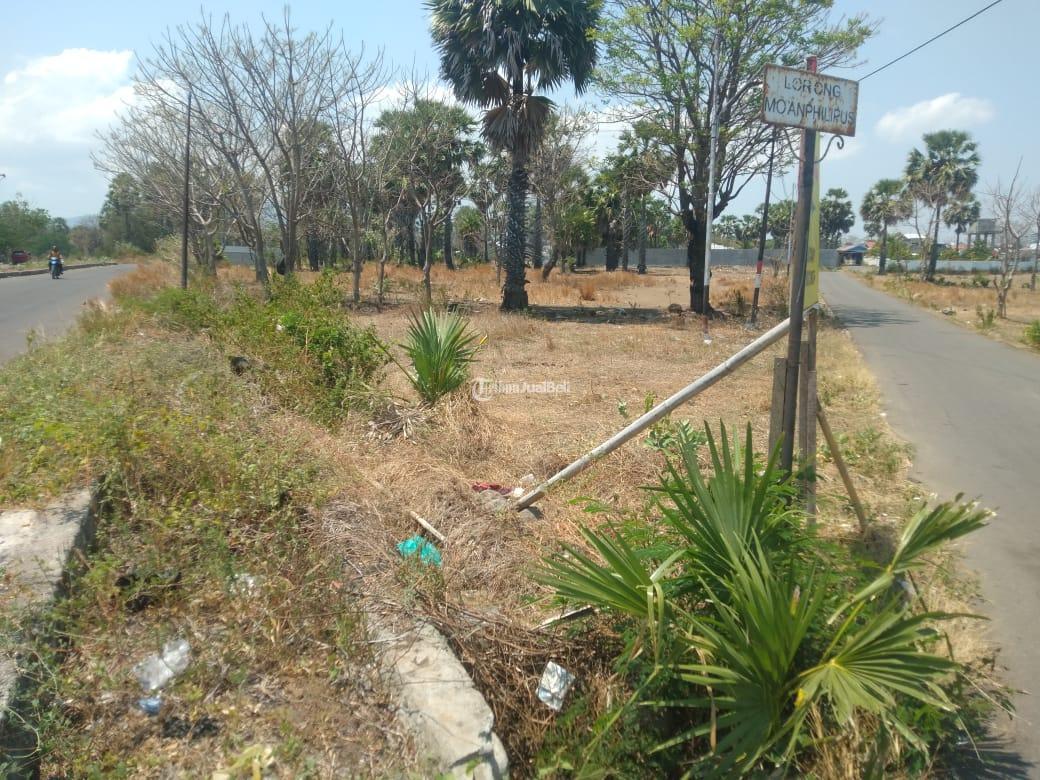 TANAH DITEPI JALAN NEGARA LINGKAR LUAR KOTA MAUMERE FLORES NTT