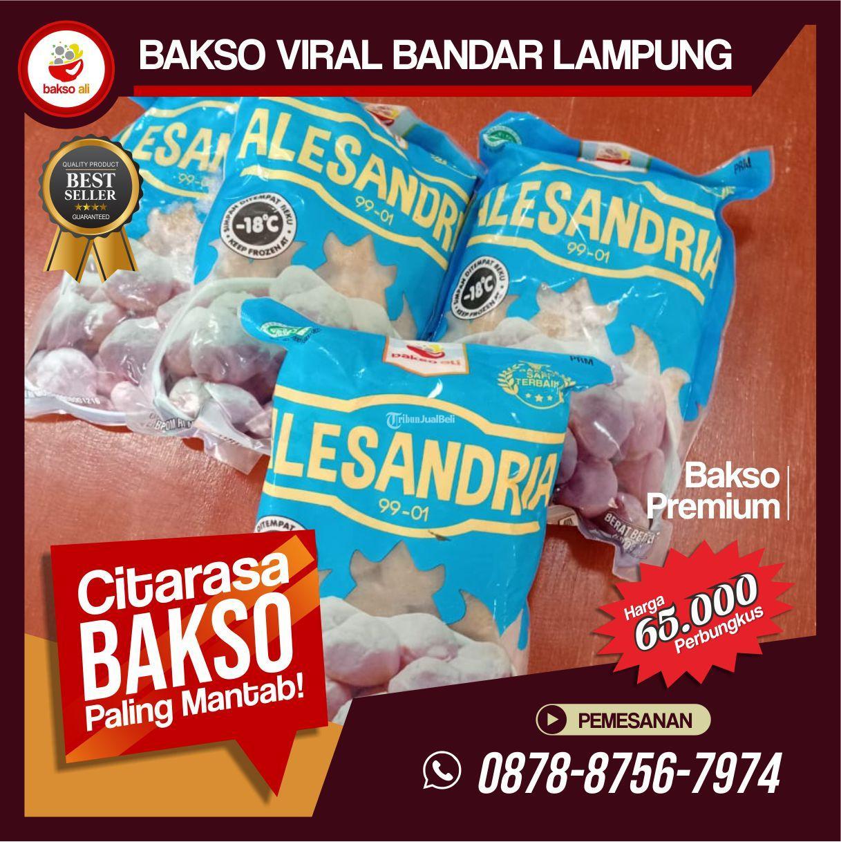 Aneka Bakso Alesandria Premium Frozen