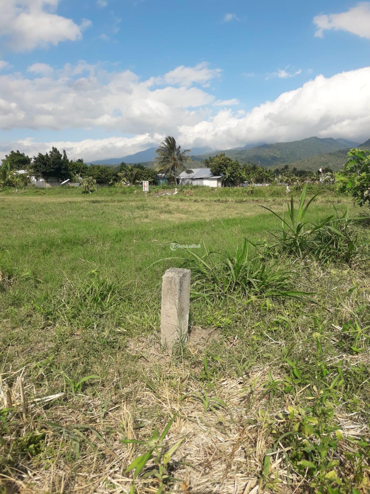 Tanah Sangat Strategis Kavling SHM Di Pemenang TimurLombok UtaraNTB