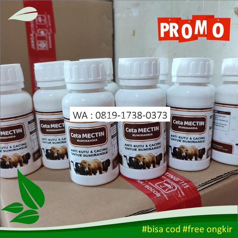 Obat Untuk Menghilangkan Kutu Sapi 081917380373