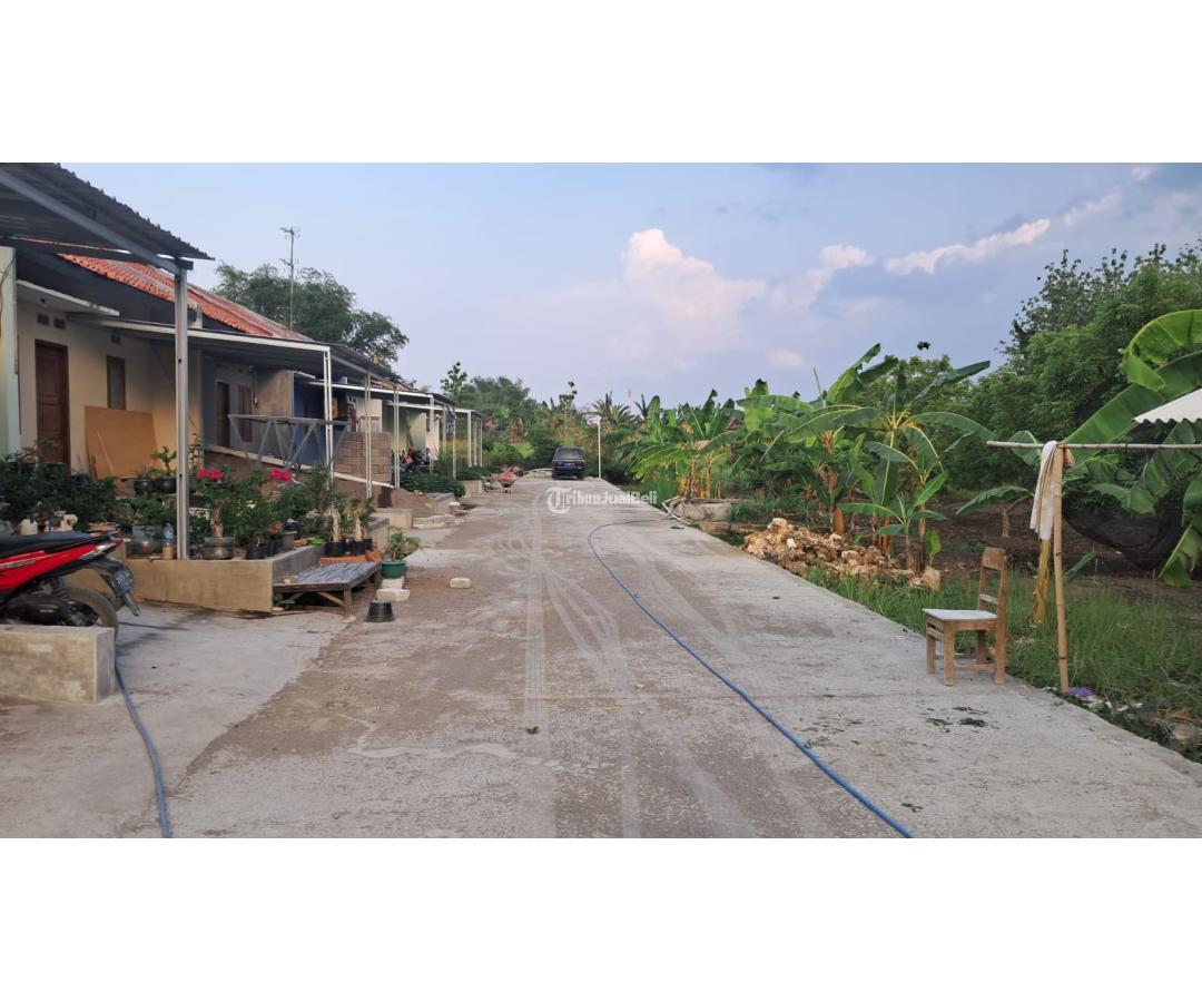 RUMAH KOMERSIL ANGSURAN BERSUBSIDI PESONA ELIA RESIDENCE PUNGKOK PURWODADI