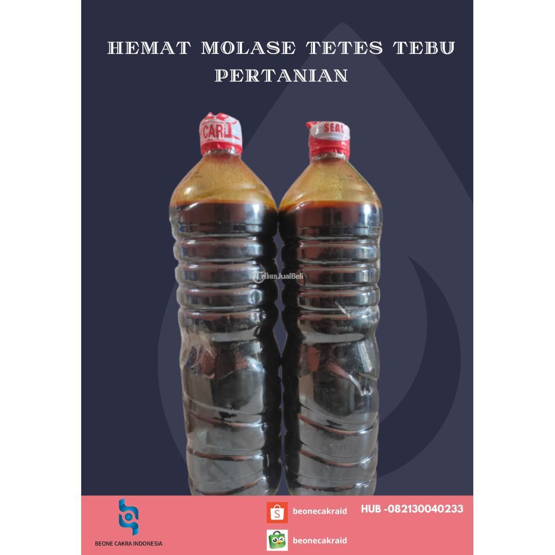 Hemat Molase Tetes Tebu Pertanian HUB 082130040533