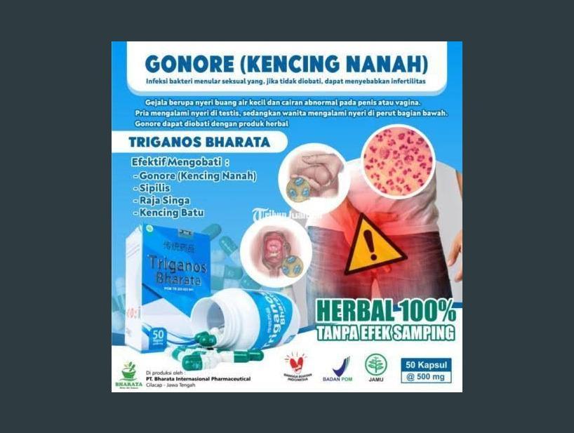obat kencing nanah Sipilis Gonore Triganos Bharata