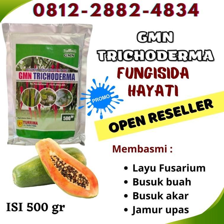 Pabrik Tricoderma Kendal Agen Tricoderma Harzianum - Klaten