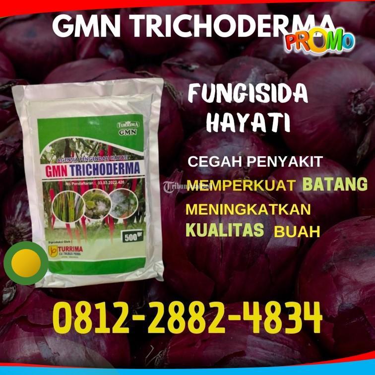 Diskon Harzianum Pupuk Trichoderma - Kudus