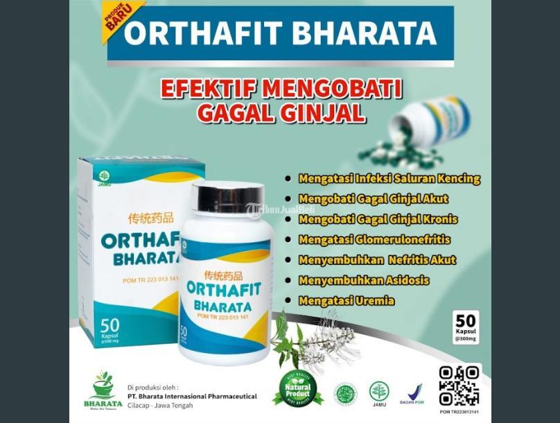 Obat Gagal Ginjal Orthafit Bharata
