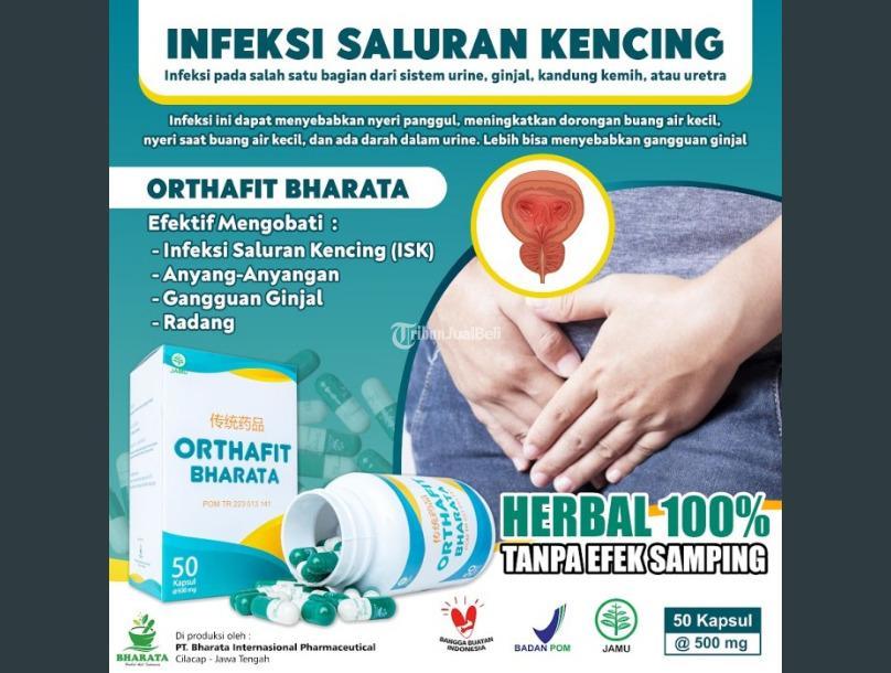 Obat Gagal Ginjal Orthafit Bharata