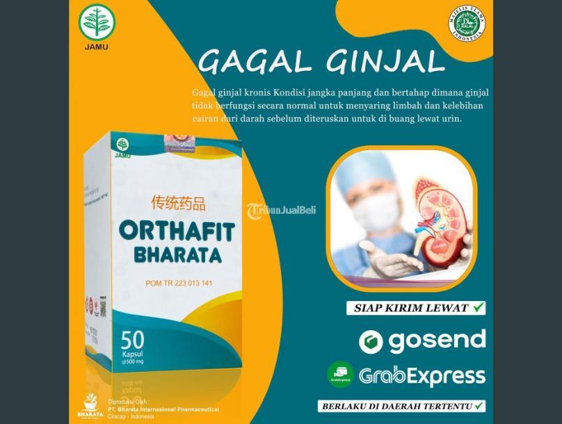 Obat Gagal Ginjal Orthafit Bharata