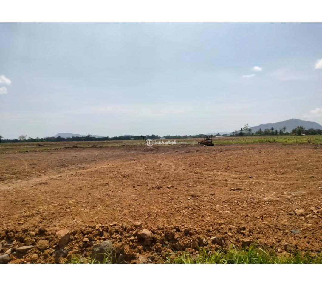 LAHAN SIAP BANGUN DI JENGGAWAH HANYA 40JUTAAN SAJA