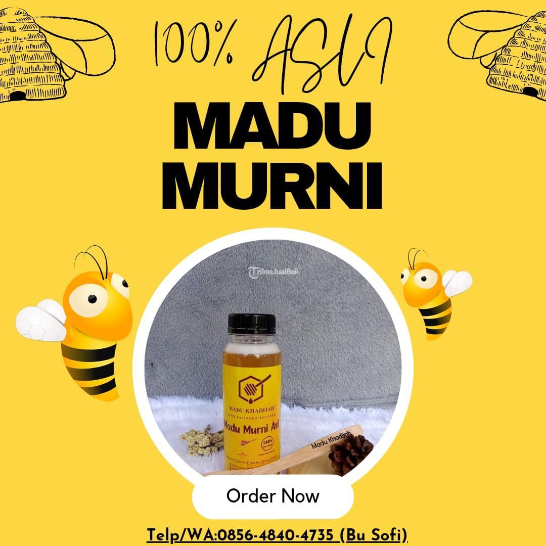 Distributor Madu Murni- Tribun JualBeli