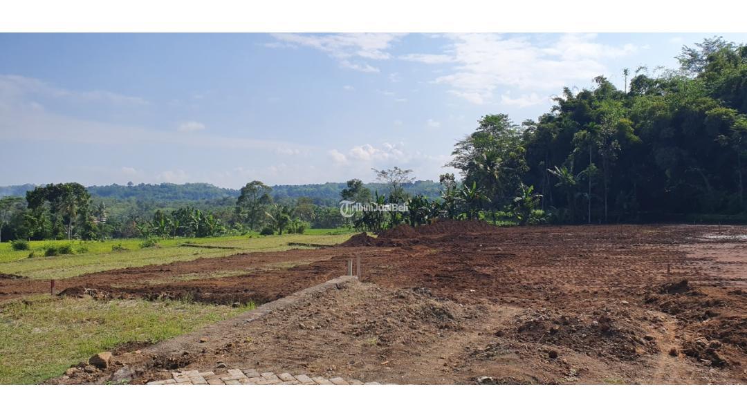 HANYA 900 RIBUAN PER METER LAHAN DI BINTORO PATRANG JEMBER