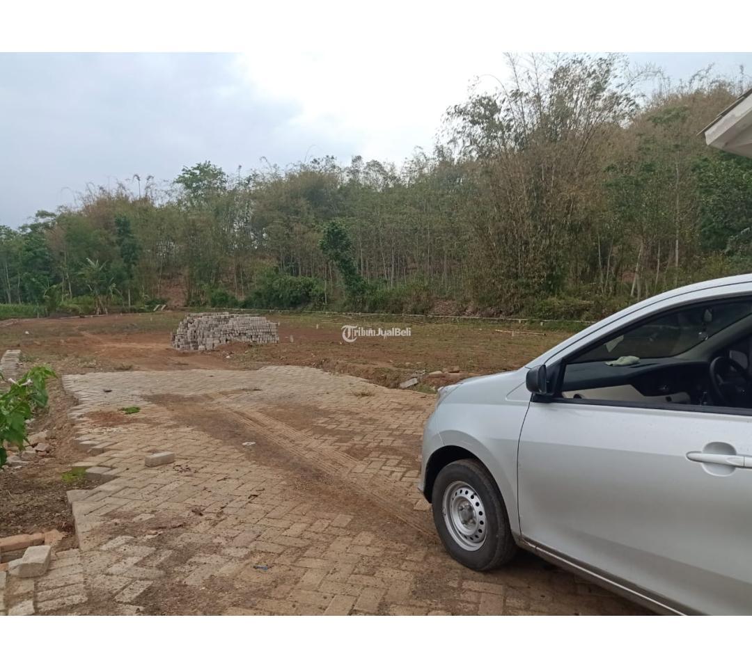 HANYA 900 RIBUAN PER METER LAHAN DI BINTORO PATRANG JEMBER