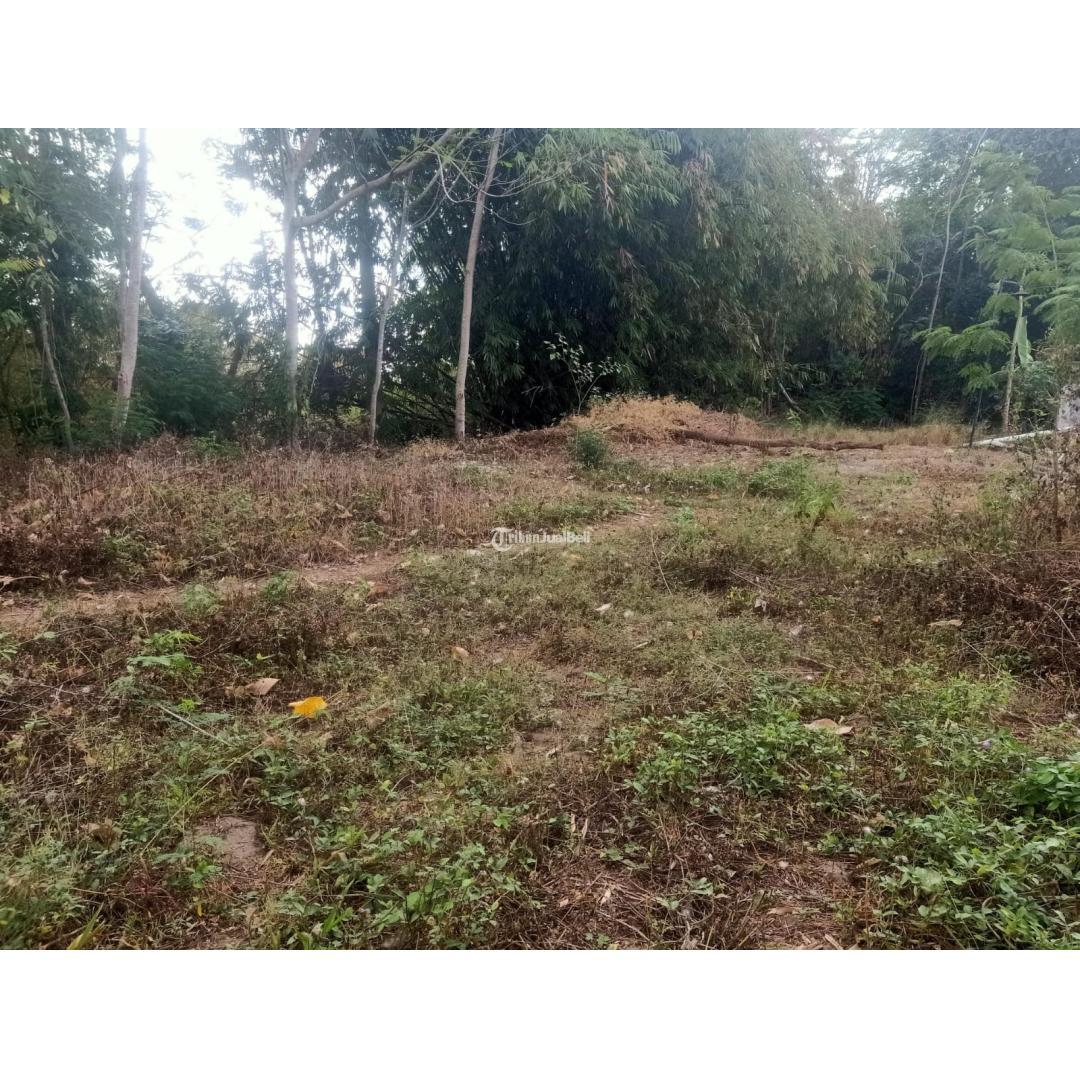 Tanah Pekarangan Dalam Perumahan Jalan Kaliurang Km 8 Dekat UGM