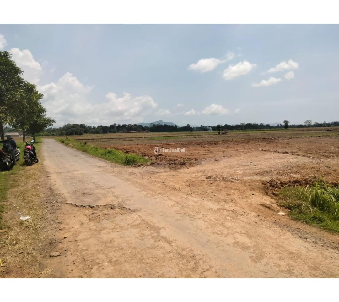 TANAH JENGGAWAH SIAP BANGUN BISA DICICIL